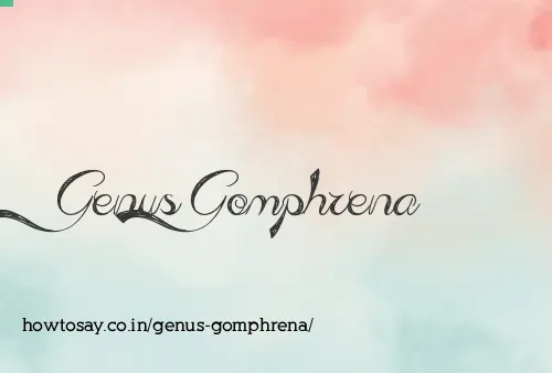 Genus Gomphrena