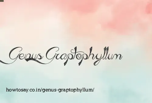 Genus Graptophyllum