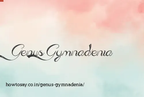 Genus Gymnadenia