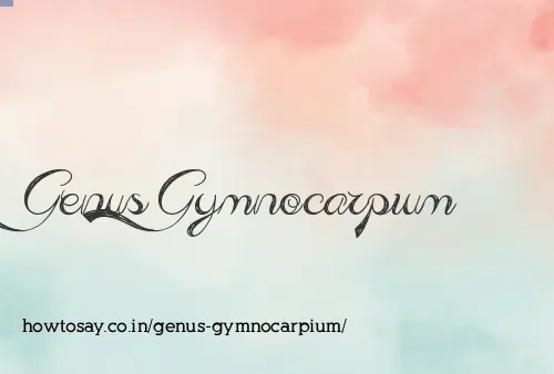 Genus Gymnocarpium