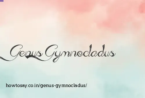 Genus Gymnocladus