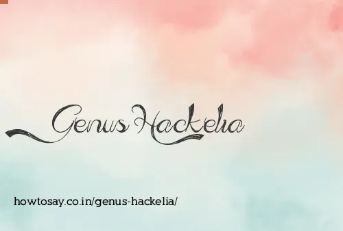 Genus Hackelia