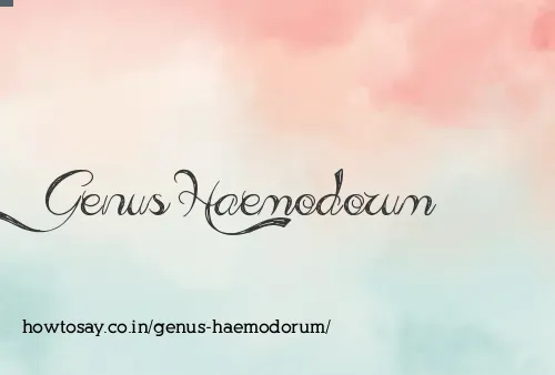 Genus Haemodorum