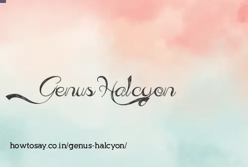 Genus Halcyon