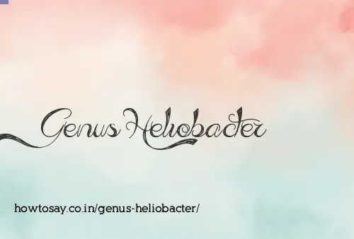 Genus Heliobacter