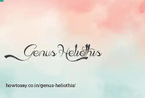 Genus Heliothis