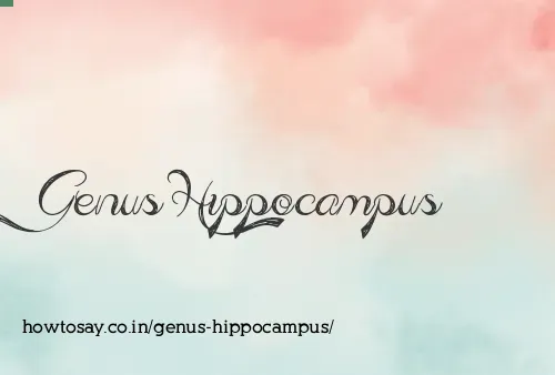 Genus Hippocampus