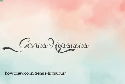Genus Hipsurus