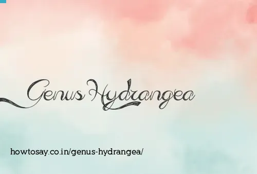 Genus Hydrangea