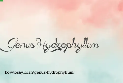 Genus Hydrophyllum
