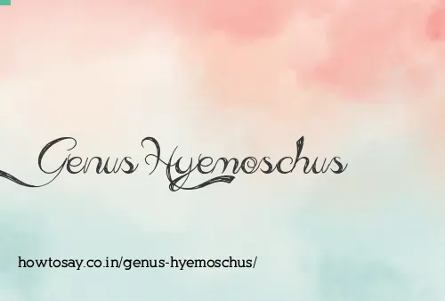 Genus Hyemoschus