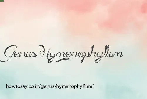 Genus Hymenophyllum