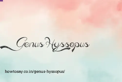 Genus Hyssopus