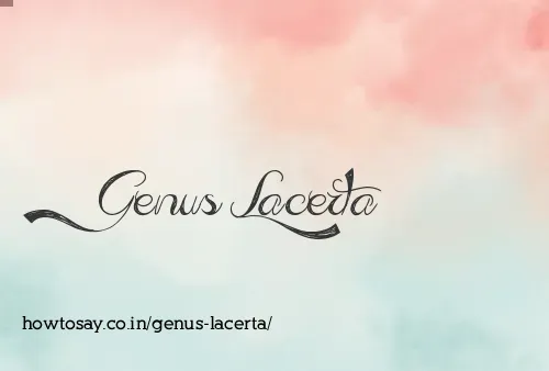 Genus Lacerta