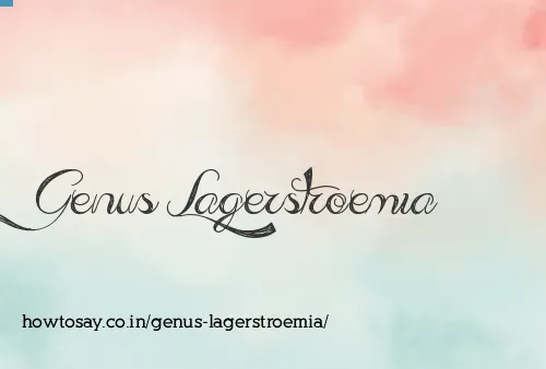 Genus Lagerstroemia