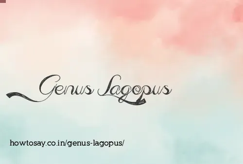 Genus Lagopus