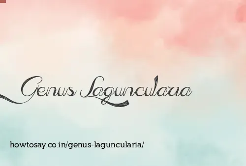 Genus Laguncularia