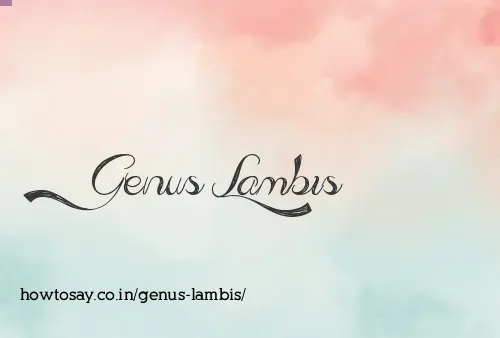 Genus Lambis