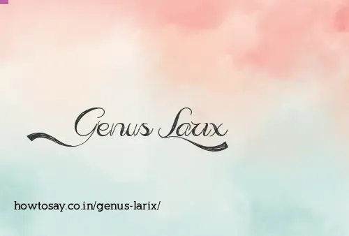 Genus Larix