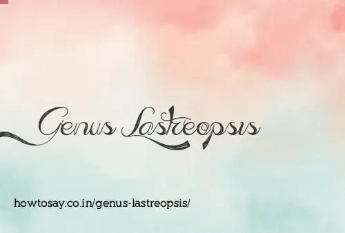 Genus Lastreopsis
