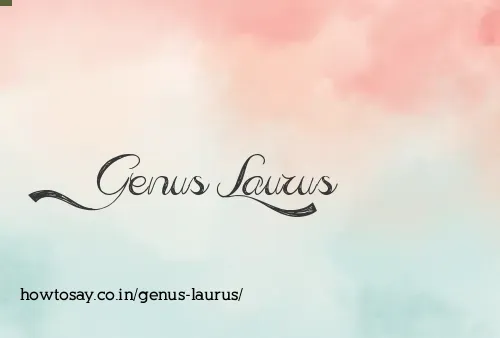 Genus Laurus