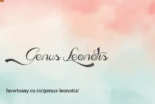 Genus Leonotis