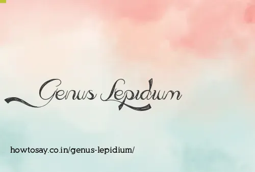 Genus Lepidium