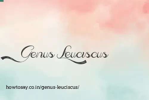 Genus Leuciscus