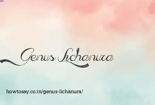 Genus Lichanura