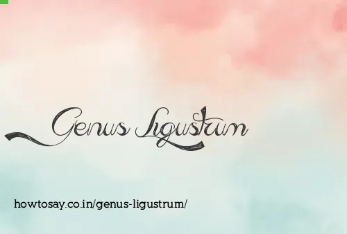 Genus Ligustrum