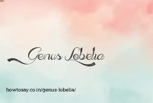 Genus Lobelia