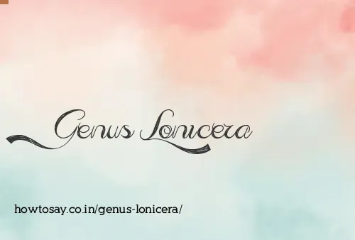 Genus Lonicera