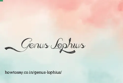 Genus Lophius