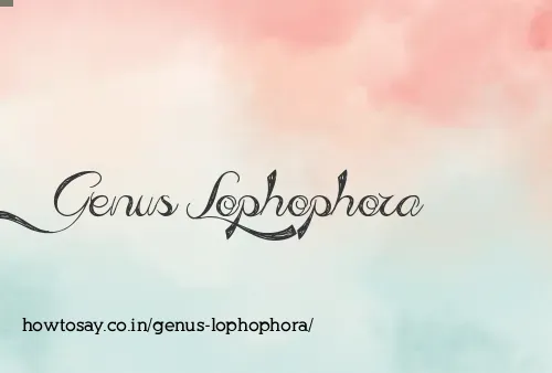 Genus Lophophora