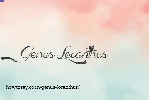 Genus Loranthus
