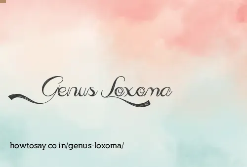Genus Loxoma
