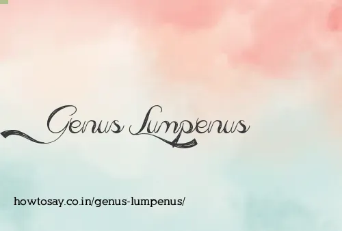 Genus Lumpenus