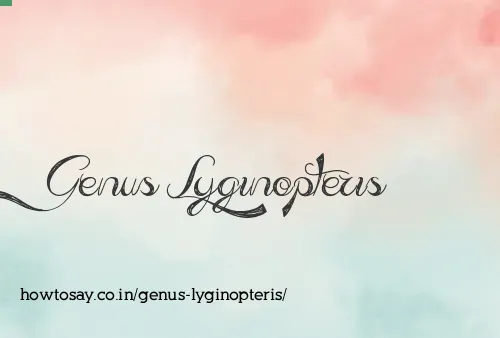 Genus Lyginopteris