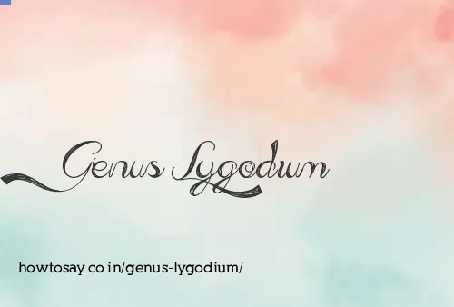Genus Lygodium