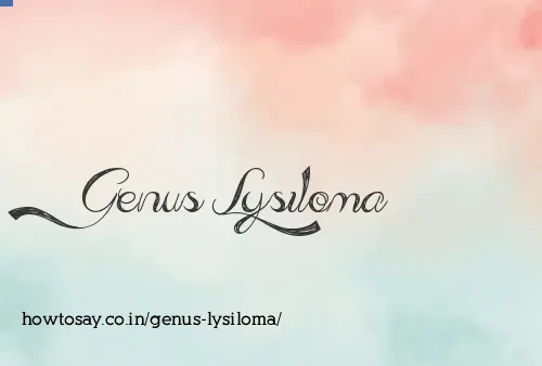 Genus Lysiloma