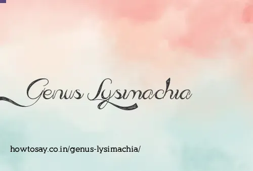 Genus Lysimachia