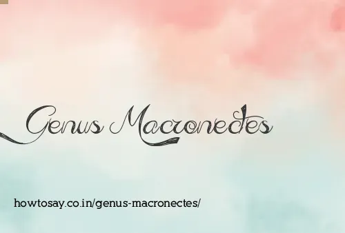 Genus Macronectes
