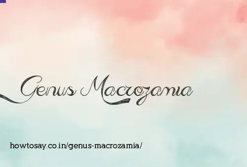 Genus Macrozamia