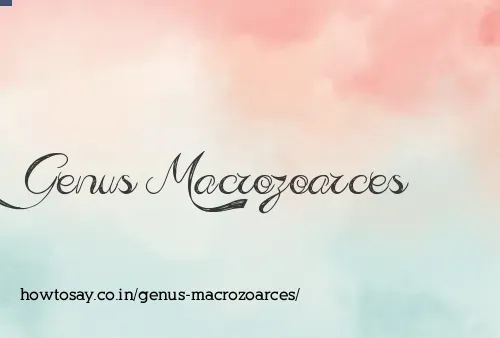 Genus Macrozoarces