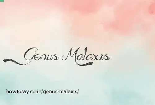 Genus Malaxis