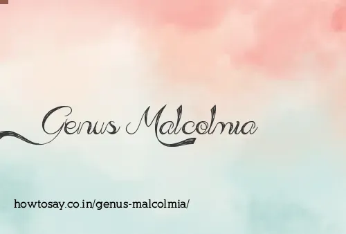 Genus Malcolmia