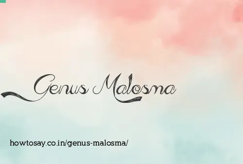 Genus Malosma