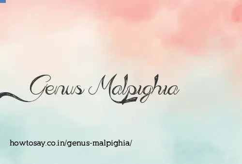 Genus Malpighia