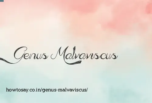 Genus Malvaviscus