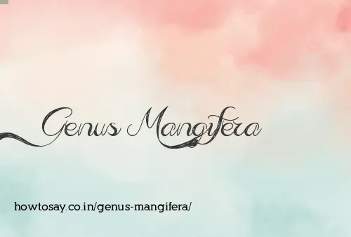 Genus Mangifera